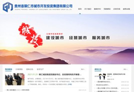 阜宁城市开发投资集团有限公司