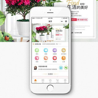 阜宁门店微商城小程序开发