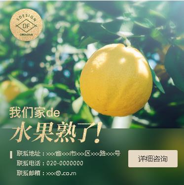 阜宁果园果林小程序开发